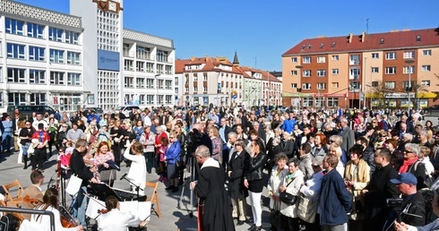 Między katedrą a ratuszem