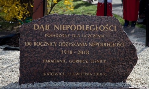 Dąb Niepodległości [ZDJĘCIA]