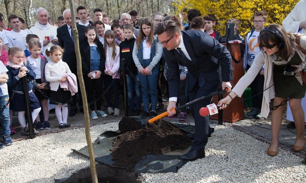 Dąb Niepodległości [ZDJĘCIA]