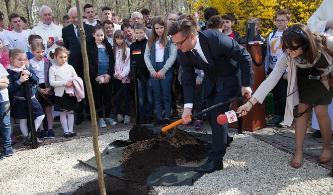 Dąb Niepodległości [ZDJĘCIA]