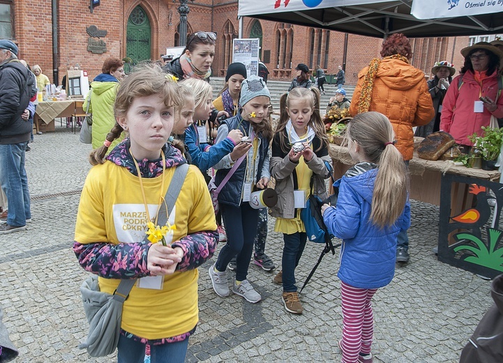 Pola Nadziei w Kołobrzegu