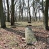 Choć niewiele pozostało po dawnym miejscu pochówków,  już w najbliższej przyszłości może się ona stać miejscem pamięci o ludziach i historii parafii.