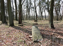 Choć niewiele pozostało po dawnym miejscu pochówków,  już w najbliższej przyszłości może się ona stać miejscem pamięci o ludziach i historii parafii.