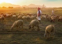 Niedziela Dobrego Pasterza w Karmelu
