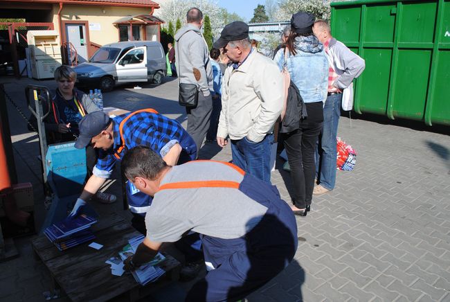 Drzewko za makulaturę w Stalowej Woli