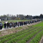 Pielgrzymka ze Roszkowej Woli do Żdar