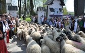 Święto Bacowskie w Ludźmierzu