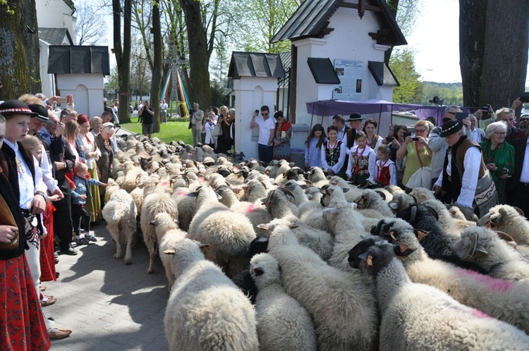 Święto Bacowskie w Ludźmierzu