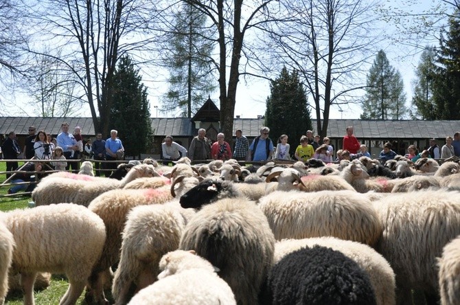 Święto Bacowskie w Ludźmierzu