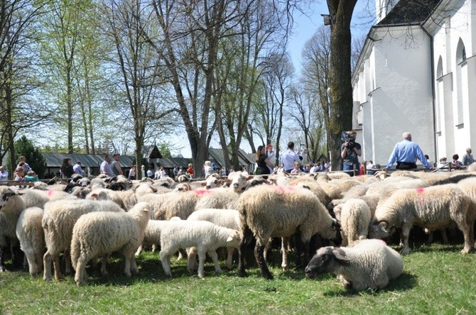 Święto Bacowskie w Ludźmierzu