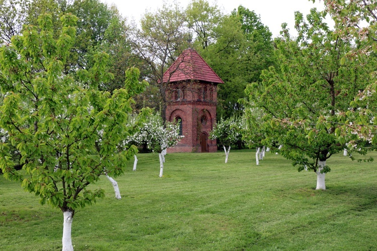 Wyższe Seminarium Duchowne Franciszkanów "Antonianum"