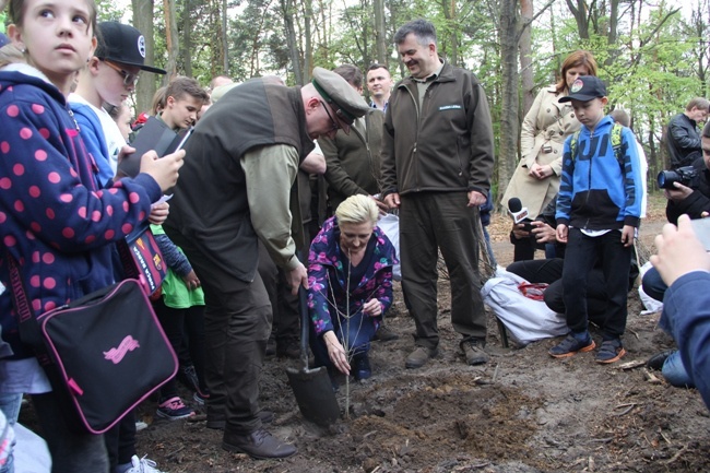 Święto Lasu w Radomiu