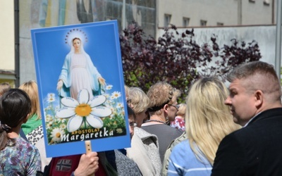 Margaretki i róże w Niepokalanowie