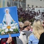 Margaretki i róże w Niepokalanowie