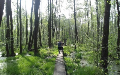 Poleski Park Narodowy - idealne miejsce na długi weekend i nie tylko