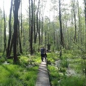 Poleski Park Narodowy - idealne miejsce na długi weekend i nie tylko