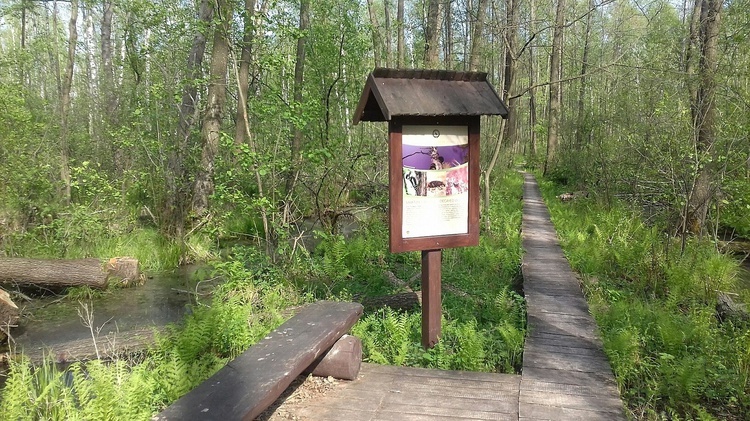 Poleski Park Narodowy