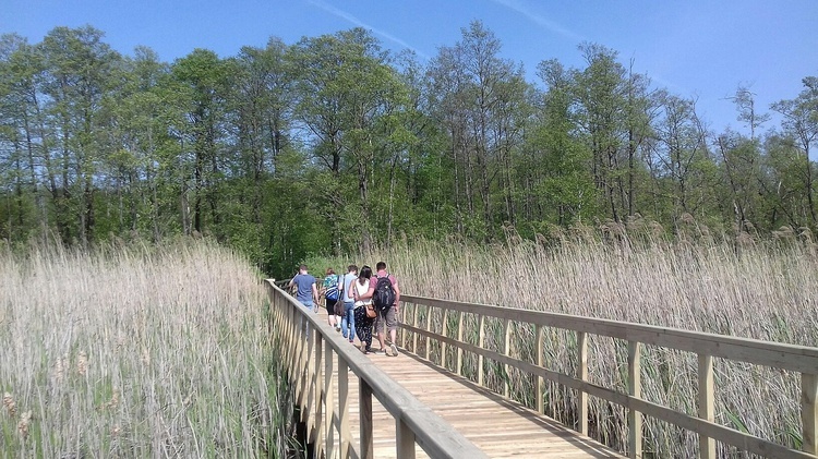 Poleski Park Narodowy