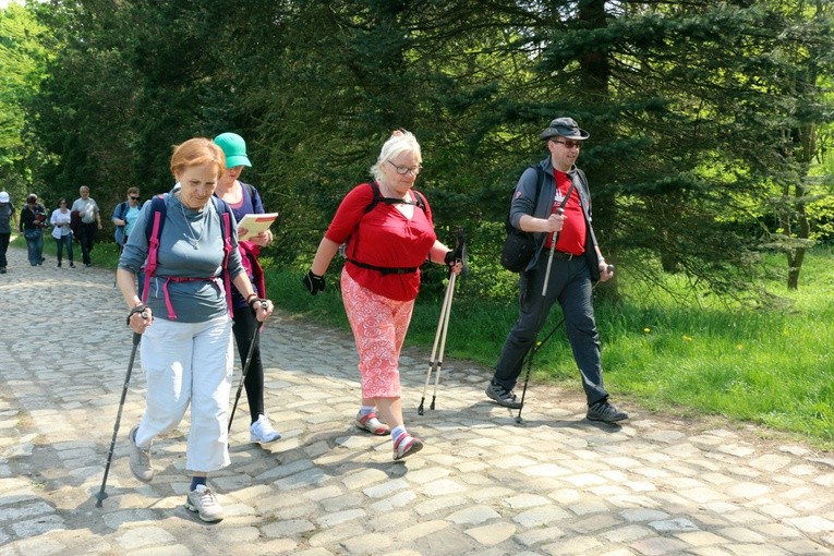 Nasze lokalne Camino - z Wrocławia do Miękini