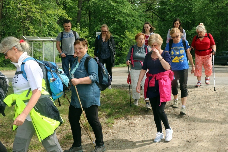 Nasze lokalne Camino - z Wrocławia do Miękini