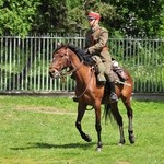 Obchody Narodowego Święta Trzeciego Maja w Lublinie 