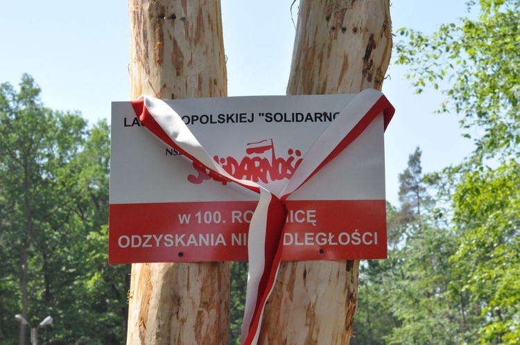 100 dębów w Brzesku-Słotwinie