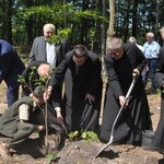 100 dębów w Brzesku-Słotwinie