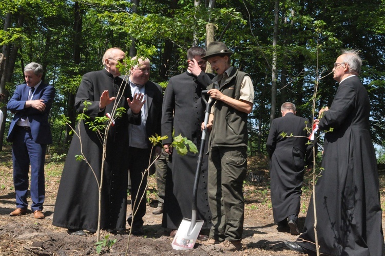 100 dębów w Brzesku-Słotwinie