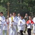 100 dębów w Brzesku-Słotwinie