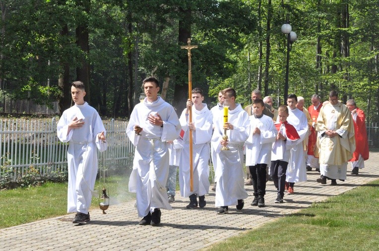 100 dębów w Brzesku-Słotwinie