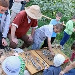Turniej Rycerski w Iłży