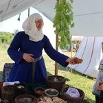 Turniej Rycerski w Iłży