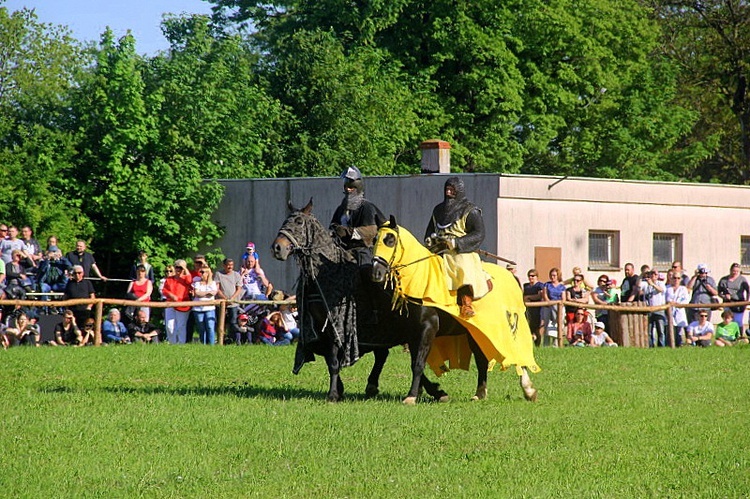 Inscenizacja bitwy pod Legnicą