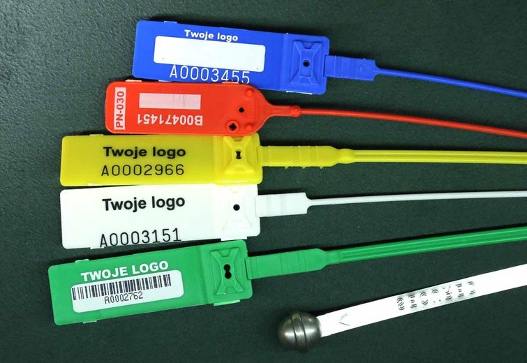 Wystawy w Muzeum Czapskich