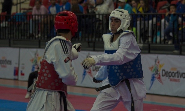 Zawodnicy Taekwondo z obu Korei zaprezentują swoje umiejętności papieżowi 