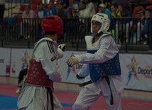 Zawodnicy Taekwondo z obu Korei zaprezentują swoje umiejętności papieżowi 
