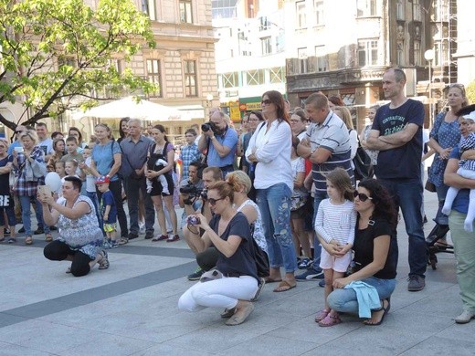 "Cała Polska tańczy dla JP2" - Bielsko-Biała 2018