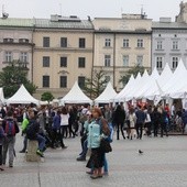 Pokazy robotów na Festiwalu Nauki i Sztuki