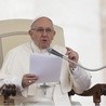 Papież zachęcił Polaków do troski o środowisko naturalne 