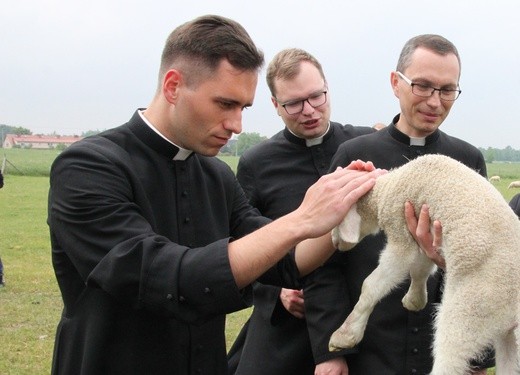 Pasterze posłani do owiec 