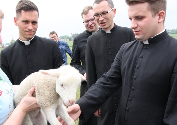 Pasterze posłani do owiec 