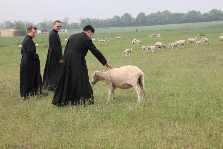 Pasterze posłani do owiec 