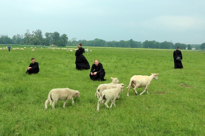 Pasterze posłani do owiec 