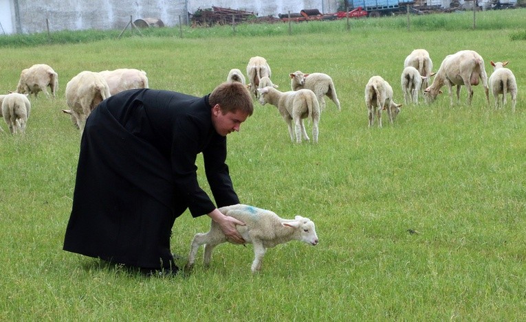 Pasterze posłani do owiec 