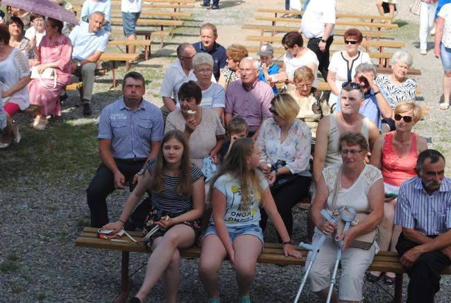 Piknik w Radomyślu nad Sanem