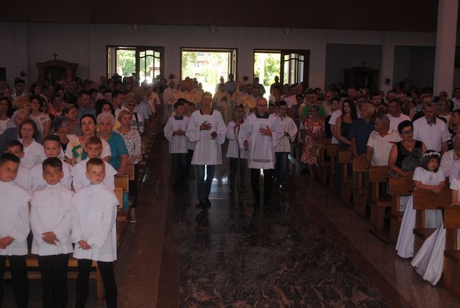 Piknik w Radomyślu nad Sanem
