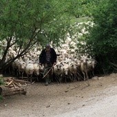 "Barka" w Beskidzie Niskim