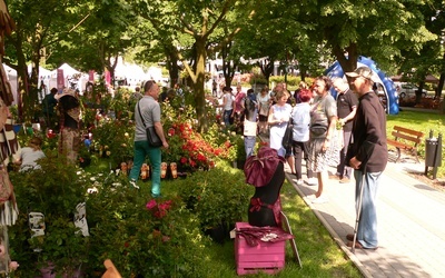 Piknik przyciągnął wielu mieszkańców i turystów