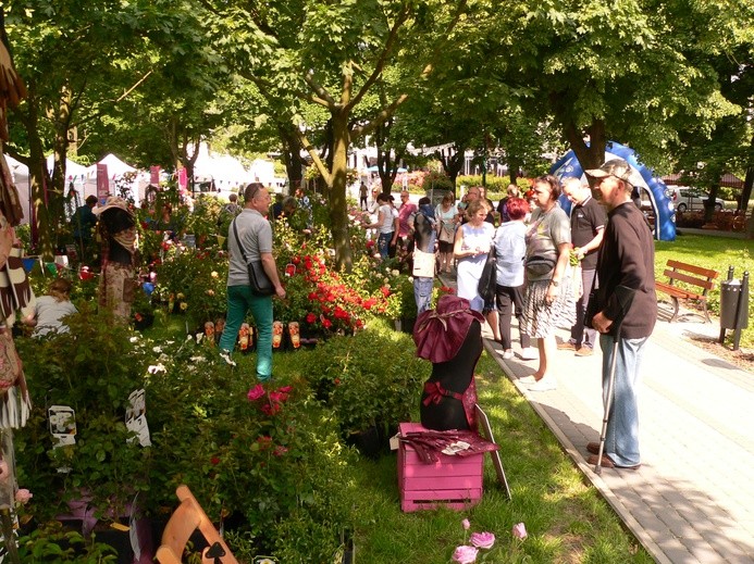 Piknik przyciągnął wielu mieszkańców i turystów