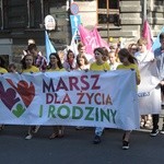 5. Marsz dla Życia i Rodziny w Bielsku-Białej 2018 - na trasie